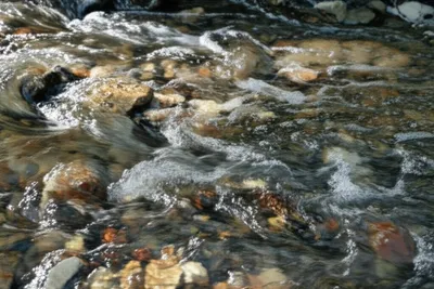 Illustration gurgled