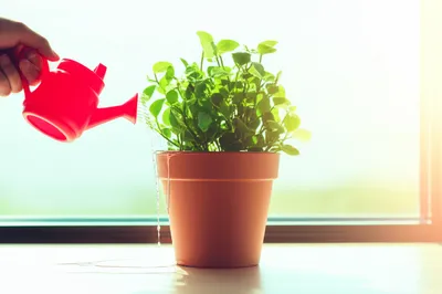 Illustration fended - Image 1