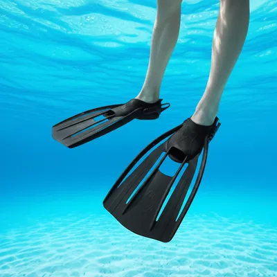 Illustration fin - Image 1