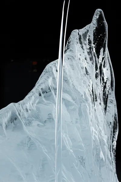 Illustration solidifies - Image 2