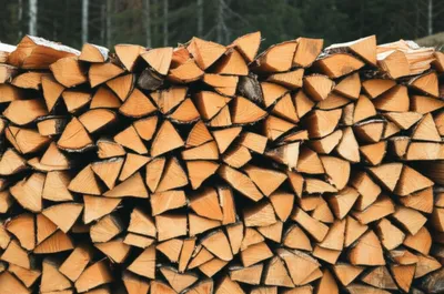 Illustration rick - Image 1