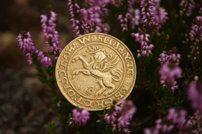 Illustration unicorns - Image 1