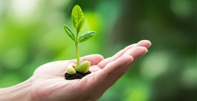 Illustration generate