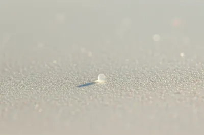 Illustration minute - Image 1