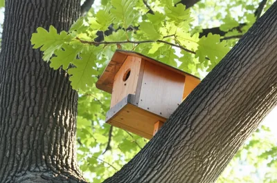 Illustration lye - Image 1