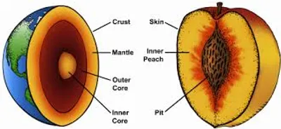Illustration analogy - Image 2