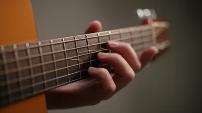 Illustration undulations - Image 1