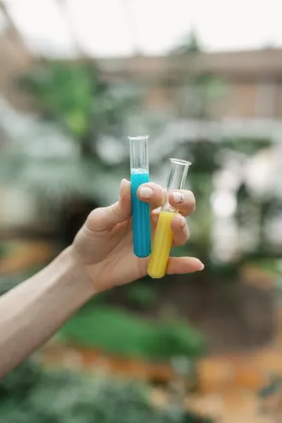 Illustration substances - Image 2