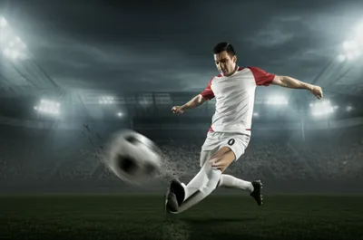 Illustration leg - Image 1