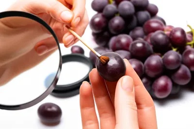 Illustration chary - Image 1