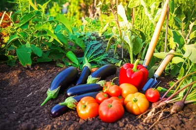 Illustration works - Image 1