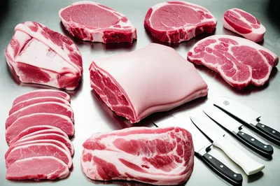 Illustration butchered - Image 1