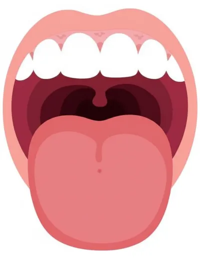 Illustration raises - Image 1