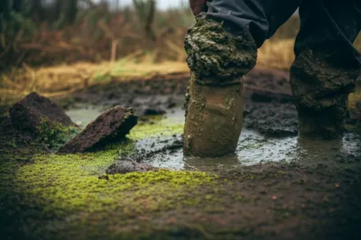 Illustration hag - Image 1