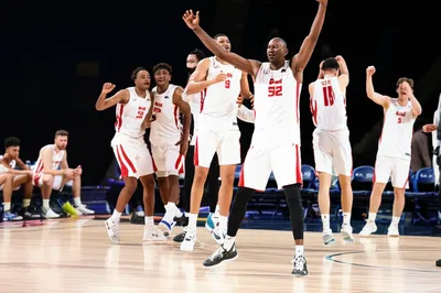 Illustration skunk - Image 1