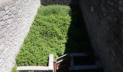 Illustration cloisters - Image 1