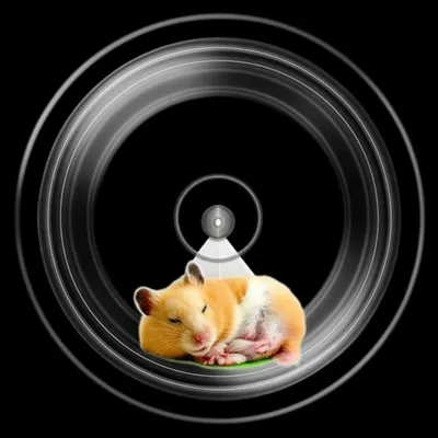 Illustration churns - Image 1