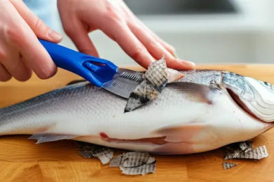 Illustration scaling - Image 1