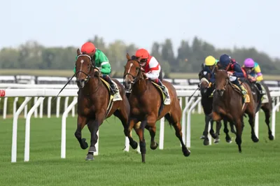 Illustration lugging - Image 1