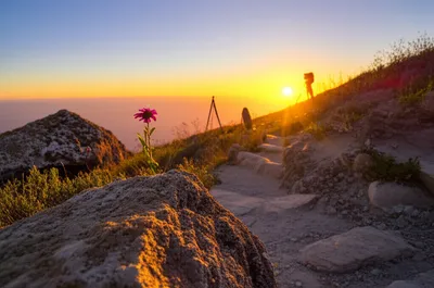 Illustration composes - Image 1