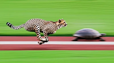 Illustration fastest - Image 1