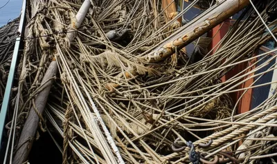 Illustration entanglements - Image 1