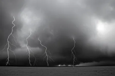 Illustration lours - Image 1