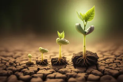 Illustration swelled - Image 1