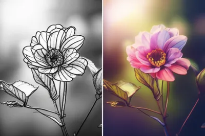 Illustration pretty - Image 1