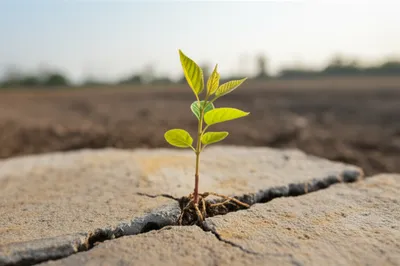 Illustration bootstrap - Image 1