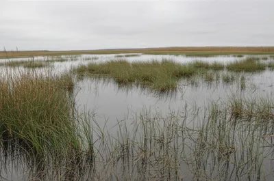 Illustration flow - Image 1