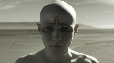 Illustration hairless