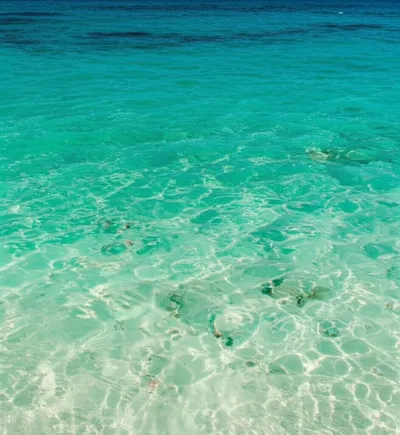 Illustration aquamarine