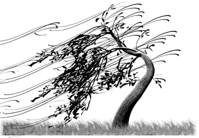 Illustration bows - Image 1