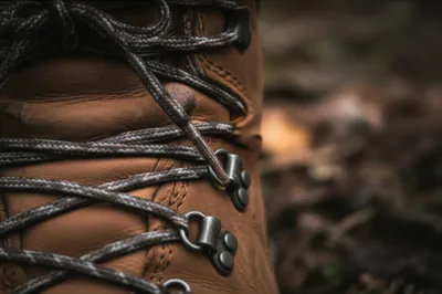 Illustration eyelet - Image 1