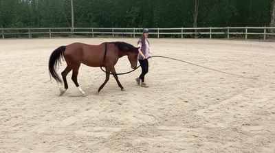 Illustration lunge - Image 1