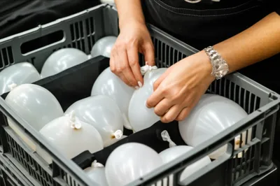 Illustration bladder - Image 1