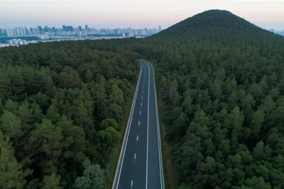 Illustration skirted - Image 1