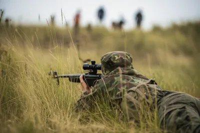 Illustration sniping - Image 1