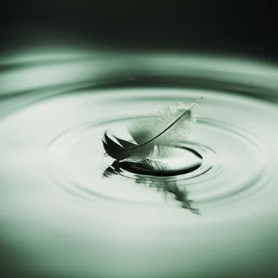 Illustration creep - Image 1