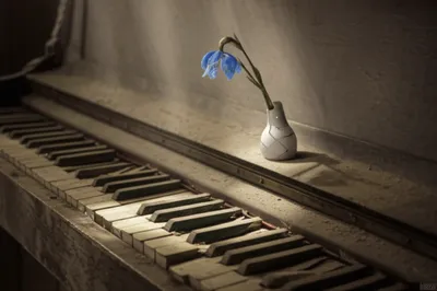 Illustration dumps - Image 1