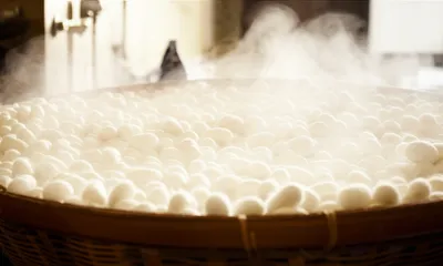 Illustration stifle - Image 1