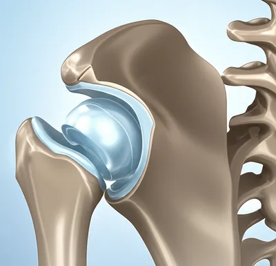 Illustration articulated - Image 1