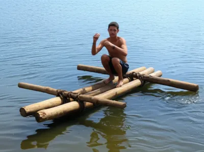 Illustration cats - Image 1