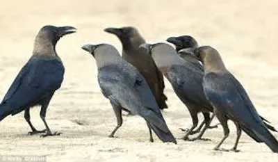 Illustration social - Image 2