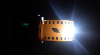 Illustration exposed - Image 1