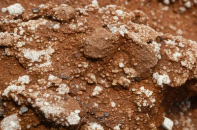 Illustration bauxite