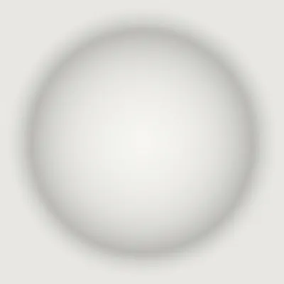 Hình ảnh minh họa scoop - Ảnh 1