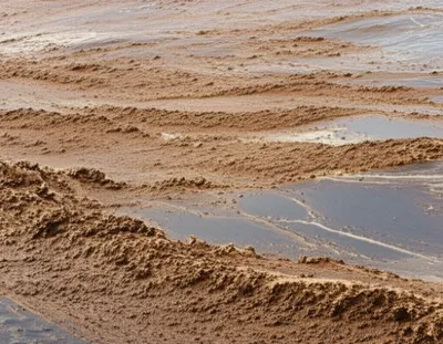 Illustration mousse - Image 1