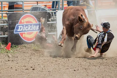 Illustration trampled - Image 2